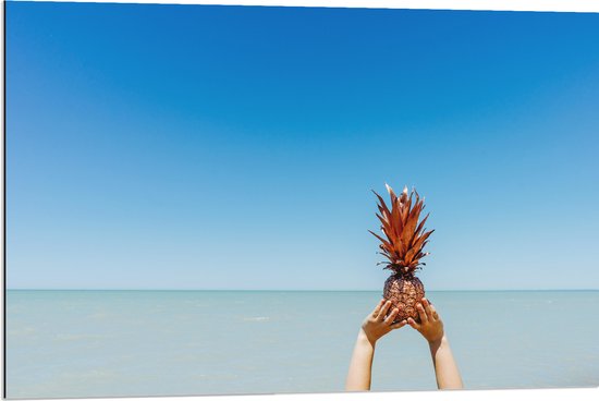 Dibond - Ananas in Handen bij het Water - 90x60 cm Foto op Aluminium (Wanddecoratie van metaal)