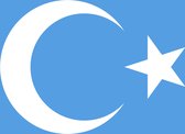 VlagDirect - Oeigoerse vlag - Oeigoeren vlag - Oost-Turkenstan vlag - Chinees-Turkenstan vlag - 90 x150 cm.