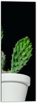Dibond - Cactus - Plant - Bloempot - 40x120 cm Foto op Aluminium (Wanddecoratie van metaal)