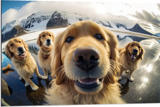 Dibond - Selfie van Groep Golden Retriever Honden in IJslandschap - 90x60 cm Foto op Aluminium (Met Ophangsysteem)