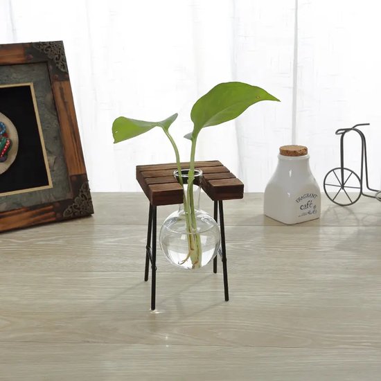 De Stekjesboom - Stekstation - Droogbloemen - 1 Glazen Vaasjes - Swinging - Planten Stekken - Hydrocultuur - Hydroponie - Bulb Vase Plant Terrarium - Hydrocultuur Planten - (1 bollenvaas)