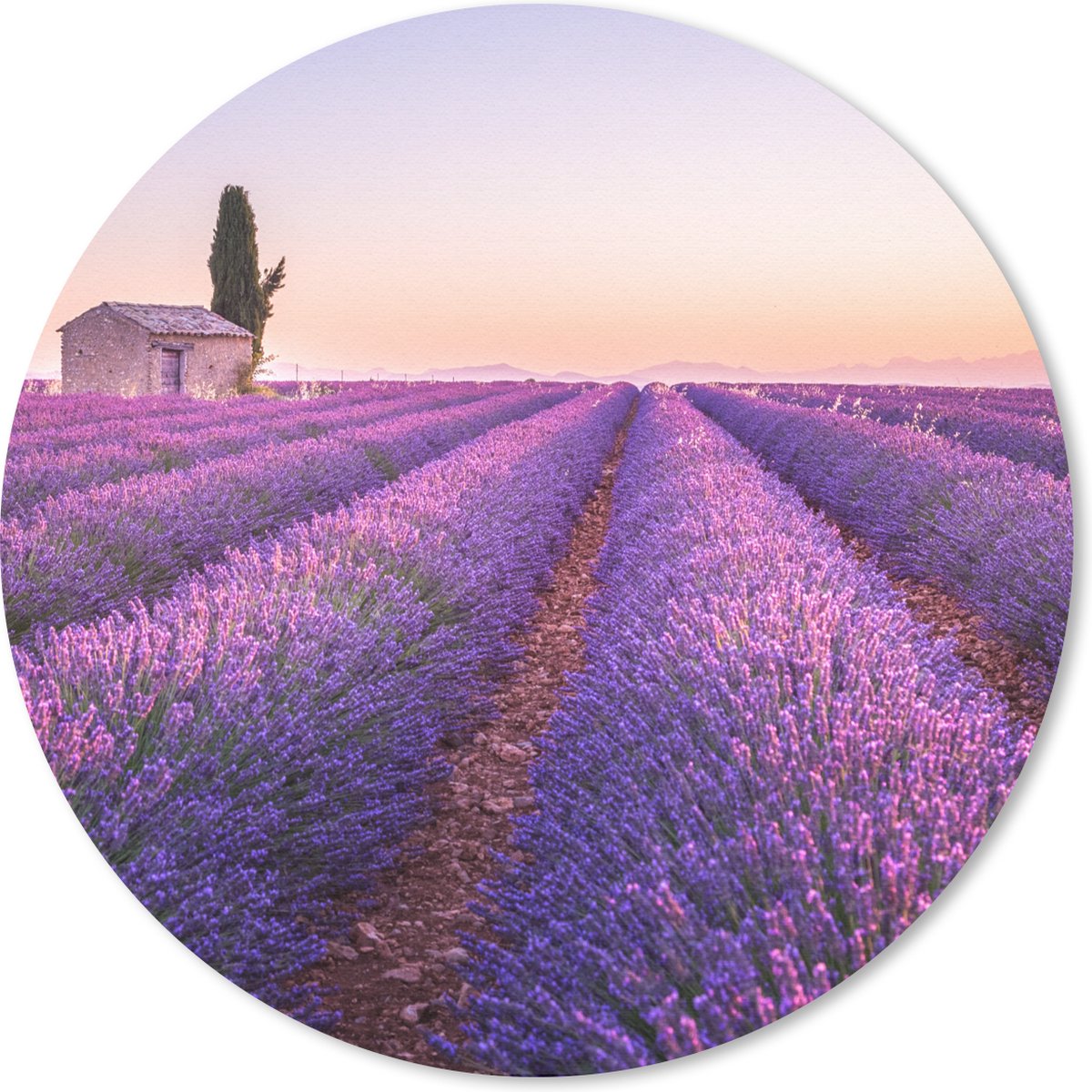 Muismat rond 30x30 cm - Mousepad Lavendel - Zonsondergang - Paars - Bloemen - Ronde muismatten