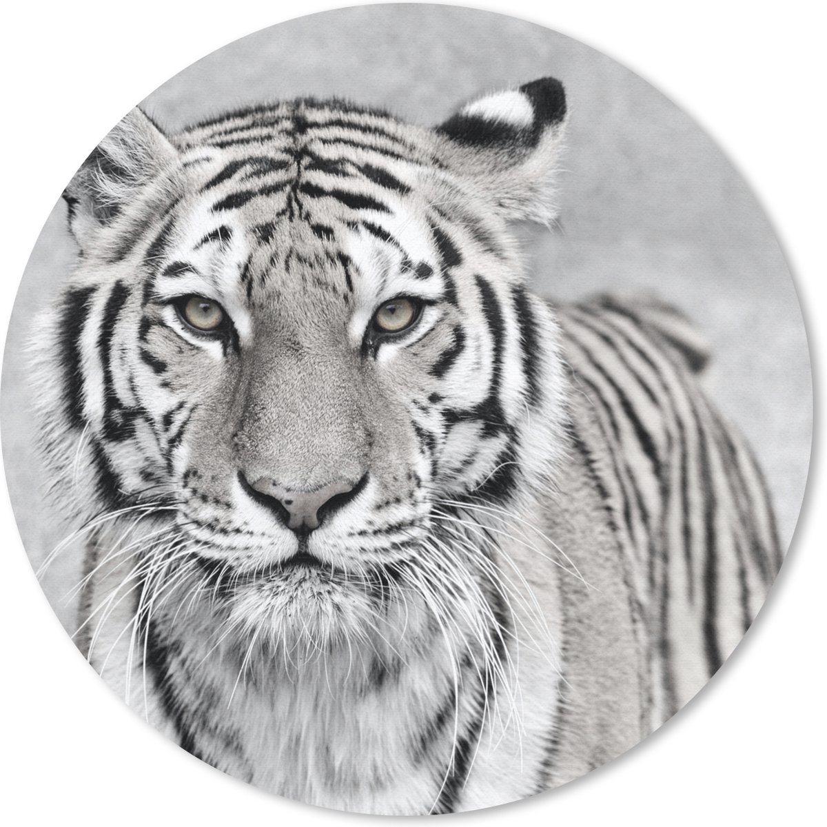 Muismat rond 20x20 cm - Mousepad Tijger - Natuur - Zwart - Wit - Ronde muismatten
