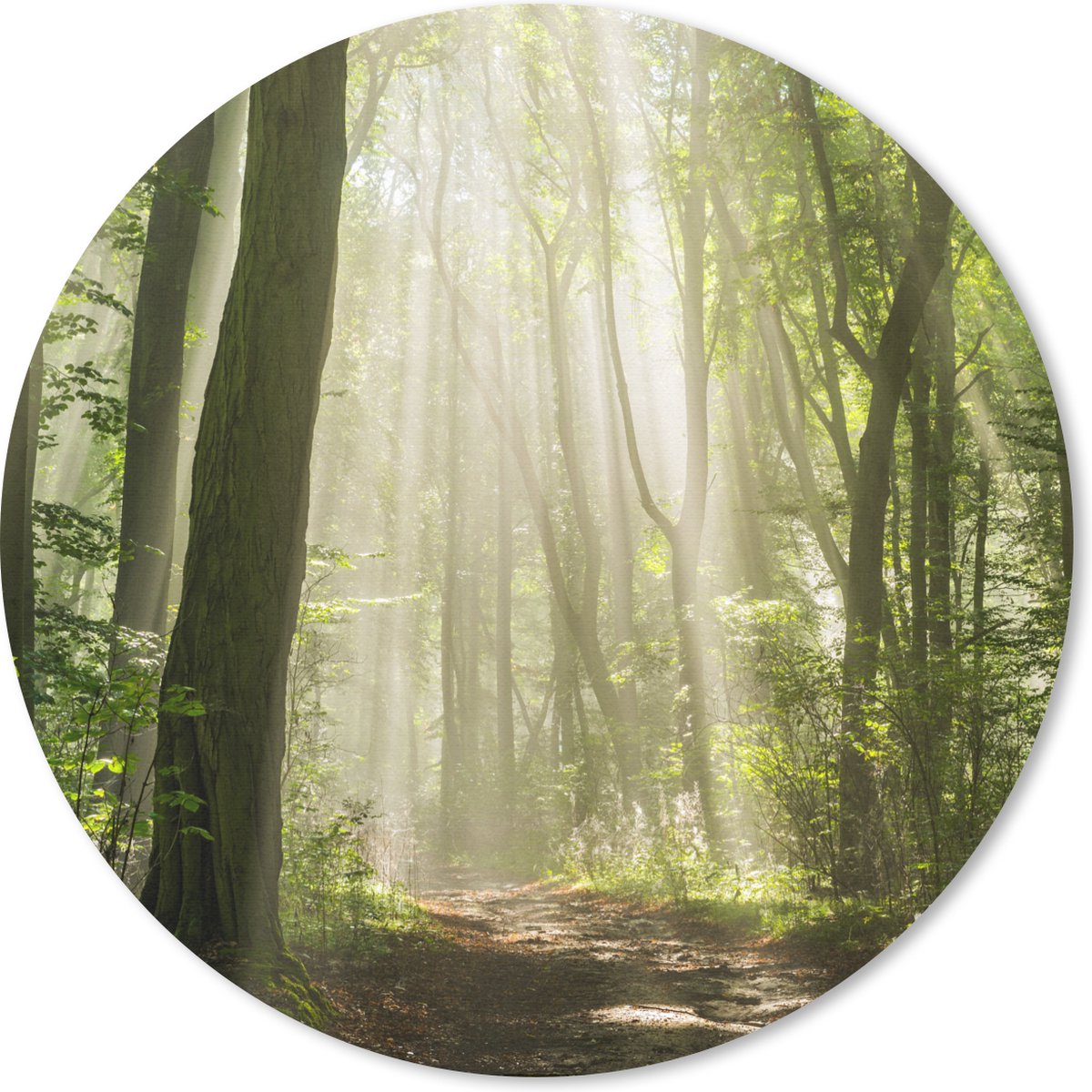 Muismat rond 30x30 cm - Mousepad Bos - Licht - Natuur - Landschap - Ronde muismatten