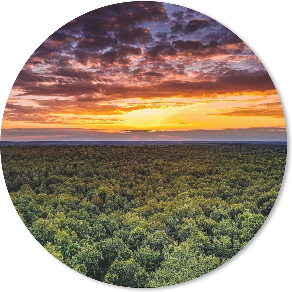 Muismat rond 40x40 cm - Mousepad Bos - Nacht - Lucht - Horizon - Bomen - Ronde muismatten