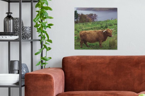 Peinture sur toile Highlander écossais - Herbe - Water - Animaux - 50x50 cm - Décoration murale