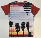 Veni T-shirt Burned Red maat 164