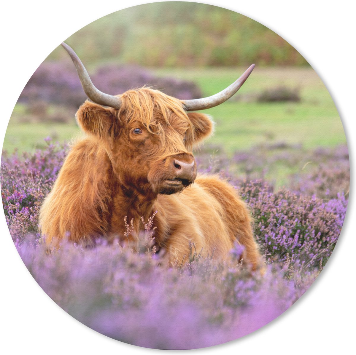 Muismat rond 20x20 cm - Mousepad Schotse Hooglander - Bruin - Struiken - Ronde muismatten