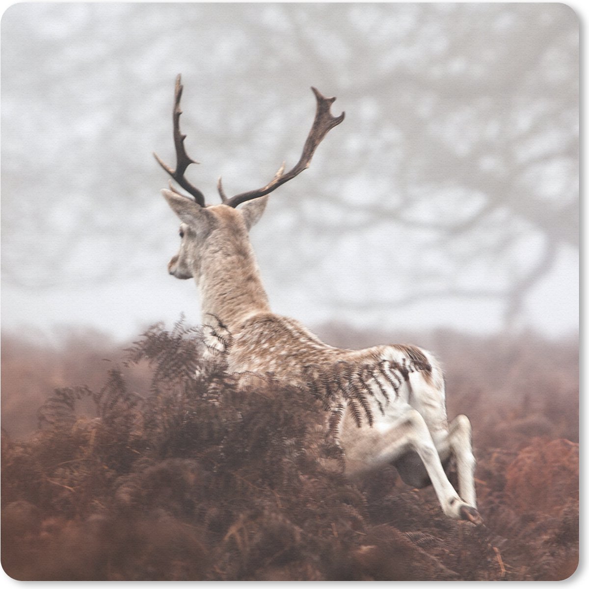 Muismat 30x30 cm - Mousepad Hert - Mist - Planten - Muismatten