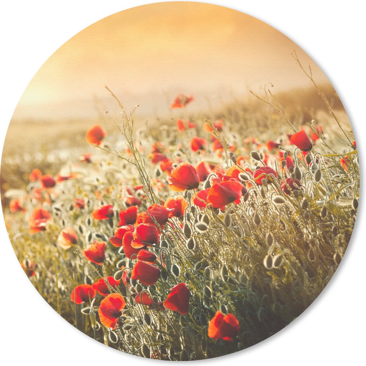 Muismat rond 30x30 cm - Mousepad Zonnestralen over een bos Klaprozen - Ronde muismatten