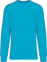 Biologische unisex sweater merk Native Spirit Light Turquoise - XXL