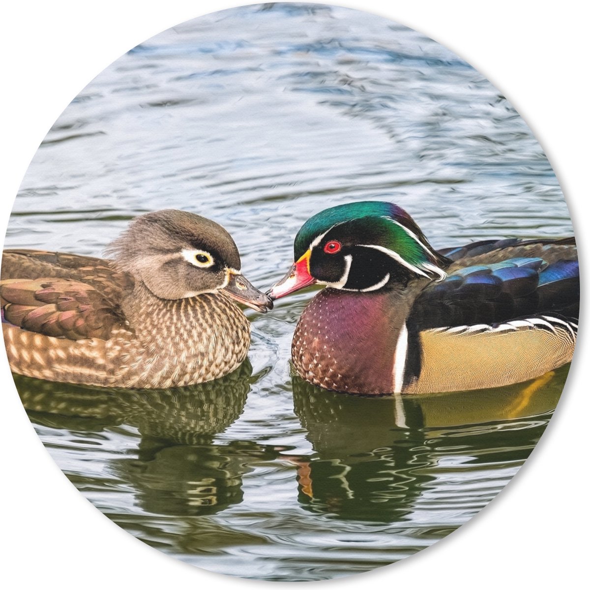 Muismat rond 30x30 cm - Mousepad Eend - Vogels - Water - Veren - Dieren - Ronde muismatten