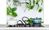 Spatscherm keuken 100x65 cm - Kookplaat achterwand Kruiden en schaar op marmeren ondergrond - Muurbeschermer - Spatwand fornuis - Hoogwaardig aluminium