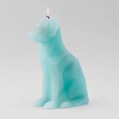 PyroPet - Voffi Aqua/Mint - Hond met skelet - Kaars