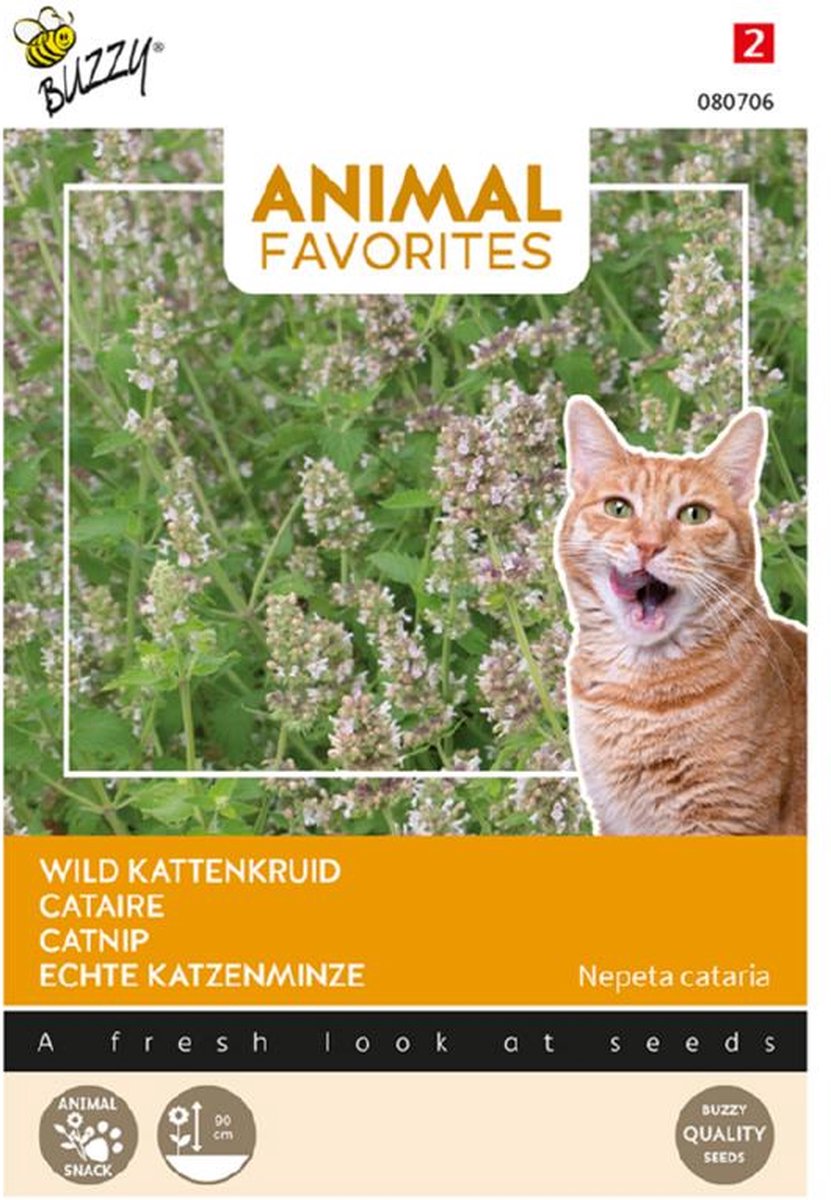 Buzzy Seeds - Animal Favourites - Wild Kattenkruid zaad, (Nepeta cataria) - 080706