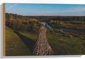 Hout - Water - Landschap - Bomen - Bossen - Hout - Gras - 60x40 cm - 9 mm dik - Foto op Hout (Met Ophangsysteem)