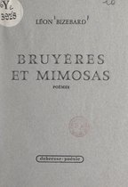 Bruyères et mimosas