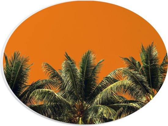 PVC Schuimplaat Ovaal - Toppen van Palmbomen tegen Oranje Lucht - 28x21 cm Foto op Ovaal (Met Ophangsysteem)