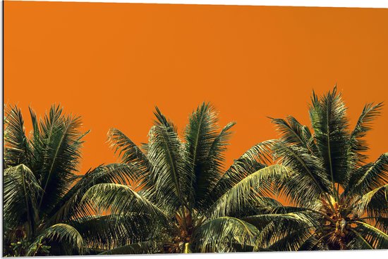 Dibond - Toppen van Palmbomen tegen Oranje Lucht - 90x60 cm Foto op Aluminium (Met Ophangsysteem)