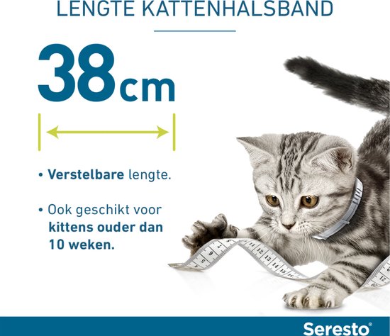Kattenhalsband 38 cm, verstelbaar, ook voor kittens ouder dan 10 weken.