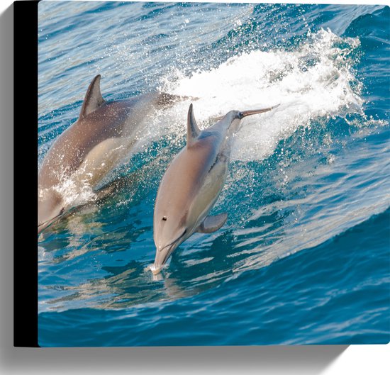Canvas - Springende Dolfijnen bij het Wateroppervlak van de Zee - 30x30 cm Foto op Canvas Schilderij (Wanddecoratie op Canvas)