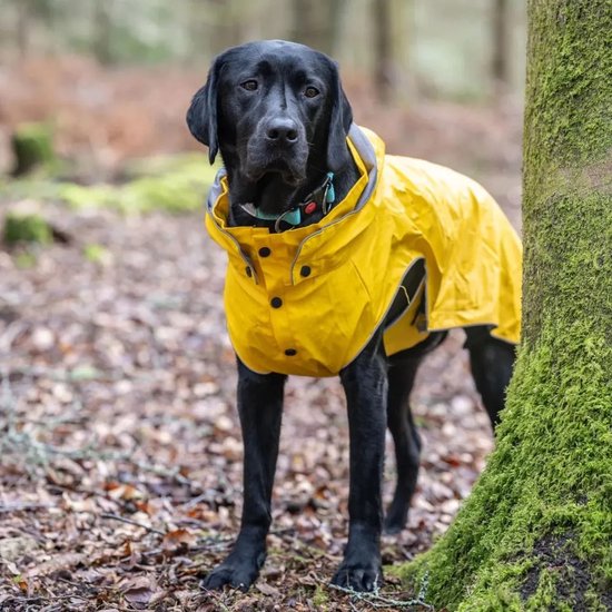 RukkaPets - Trendy Hondenregenjas - Geel - Maat 50