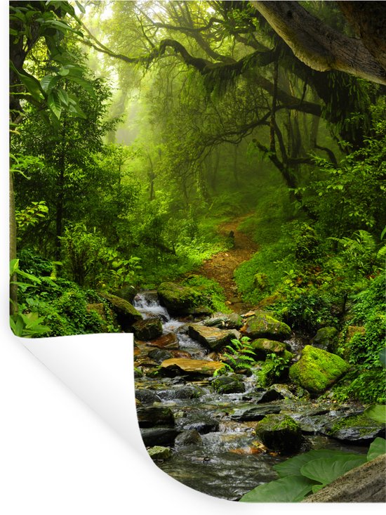 Stickers muraux - Film autocollant - Nature - Water - Jungle - Forêt - Tropical - 60x80 cm - Film adhésif - Stickers muraux Chambre d'enfant - Papier peint autocollant - Papier peint autocollant - Film autocollant