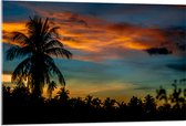 Acrylglas - Silhouet van Hoge Boom bij Kleinere Bomen onder Oranje Wolken - 105x70 cm Foto op Acrylglas (Met Ophangsysteem)