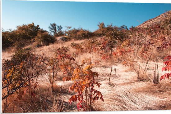 PVC Schuimplaat- Landschap - Bomen - Bloemen - Planten - Wind - Kleuren - 90x60 cm Foto op PVC Schuimplaat