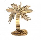 Palm tree driftwood 50cm