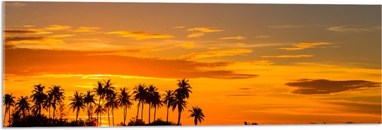 Acrylglas - Silhouet van Palmbomen op Eiland tijdens Felkleurige Zonsondergang - 90x30 cm Foto op Acrylglas (Wanddecoratie op Acrylaat)