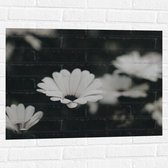 Muursticker - Bloemen - Wit - Bladeren - Natuur - 80x60 cm Foto op Muursticker