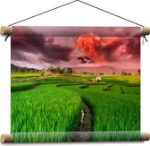 Textielposter - Roze Wolkenveld boven Bloeiende Rijstvelden - 40x30 cm Foto op Textiel