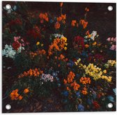 Tuinposter – Bloemen - Wazig - Natuur - Bossen - Kleuren - Bladeren - 50x50 cm Foto op Tuinposter (wanddecoratie voor buiten en binnen)