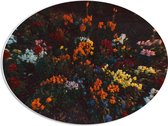 PVC Schuimplaat Ovaal - Bloemen - Wazig - Natuur - Bossen - Kleuren - Bladeren - 56x42 cm Foto op Ovaal (Met Ophangsysteem)