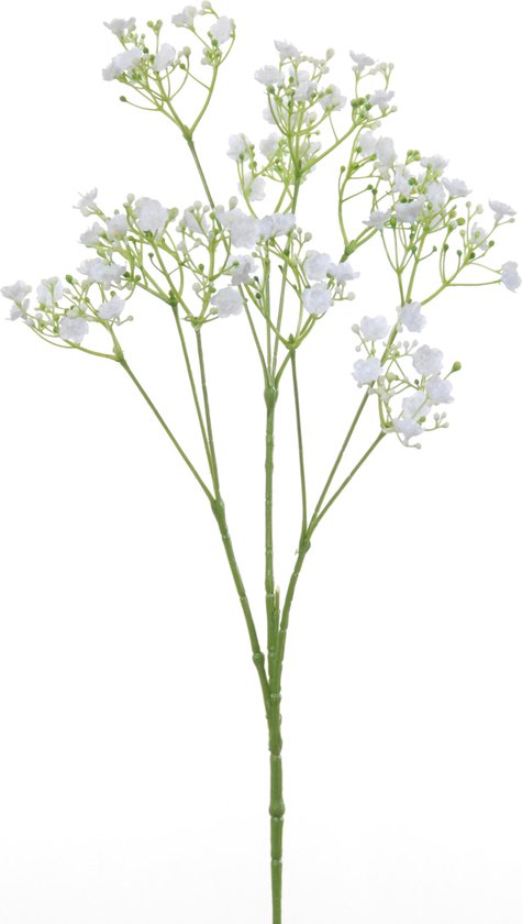 Kunstbloemen Gipskruid/Gypsophila takken wit 70 cm - Kunstplanten en  steelbloemen | bol.com