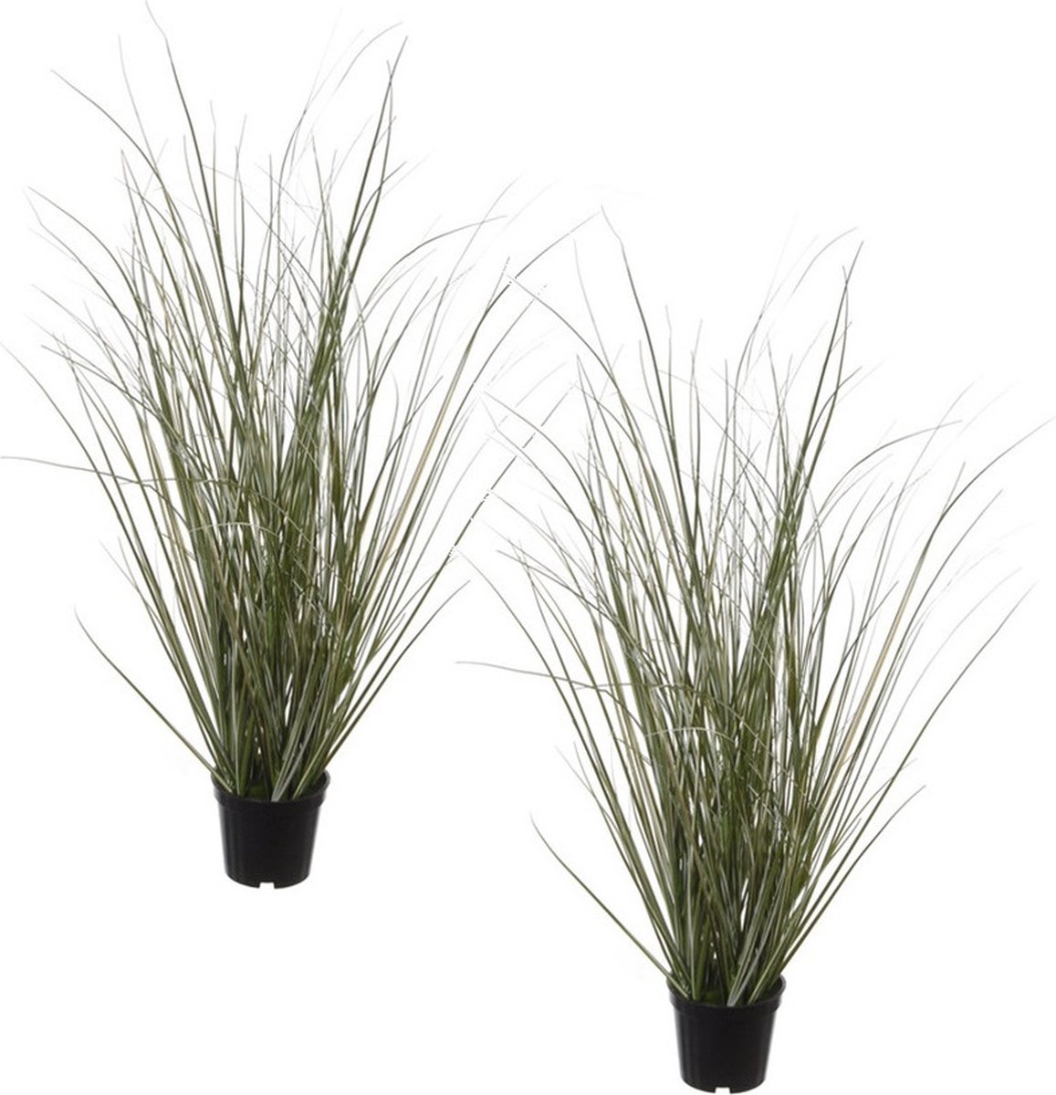 Louis Maes Pennisetum siergras kunstplant - Set van 2x stuks - zwarte pot - 50 cm - realistisch - binnenshuis Groen