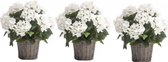 3x Kunstplanten Hortensia wit in rieten mand 45 cm - Kunstplanten/nepplanten