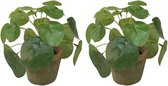 2x Kunstplanten pannenkoeken planten groen in pot 13 cm - Kamerplant/kantoorplant groen pilea