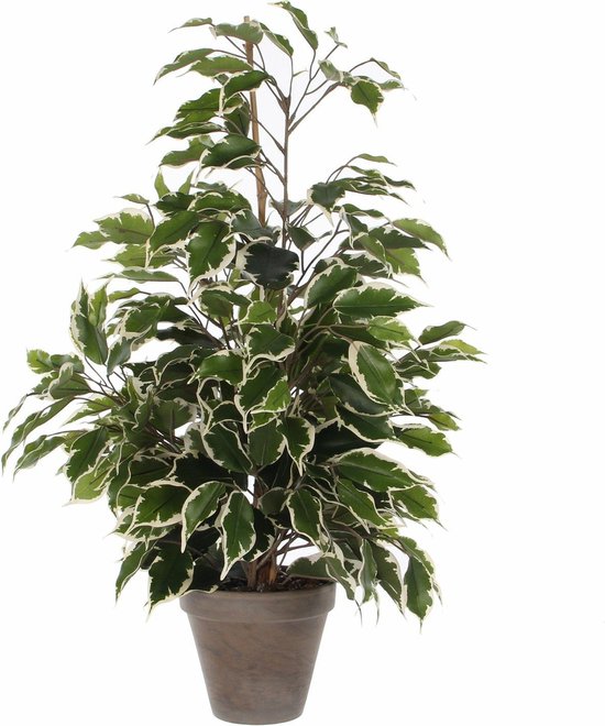 Plante artificielle : Pot Ficus Natasja D.11 x H.40 cm