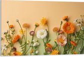Dibond - Oranje met Witte Bloemen op Oranje Achtergrond - 105x70 cm Foto op Aluminium (Wanddecoratie van metaal)