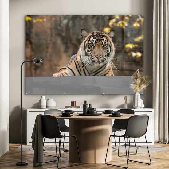 MuchoWow® Peinture sur verre - Tigre - Rochers - Feuilles - 180x120 cm - Peintures sur verre acrylique - Photo sur Glas
