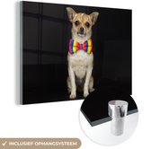 MuchoWow® Peinture sur verre 180x120 cm - Peinture sur verre acrylique - Chien - Arc - Zwart - Photo sur verre - Peintures