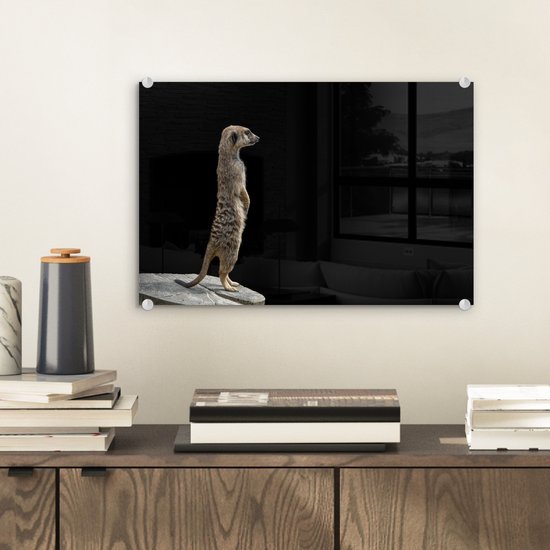 MuchoWow® Glasschilderij 30x20 cm - Schilderij acrylglas - Stokstaartje - Wilde dieren - Zwart - Foto op glas - Schilderijen