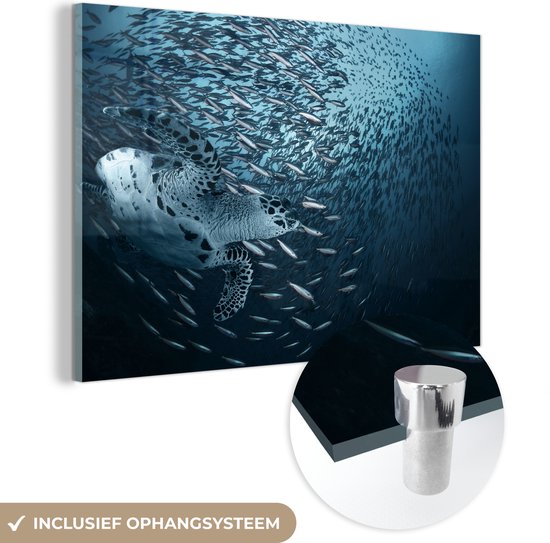 Glasschilderij - Schildpad - Vis - Dieren - Water - Foto op glas - Schilderij glas - 180x120 cm - Wanddecoratie - Glazen plaat