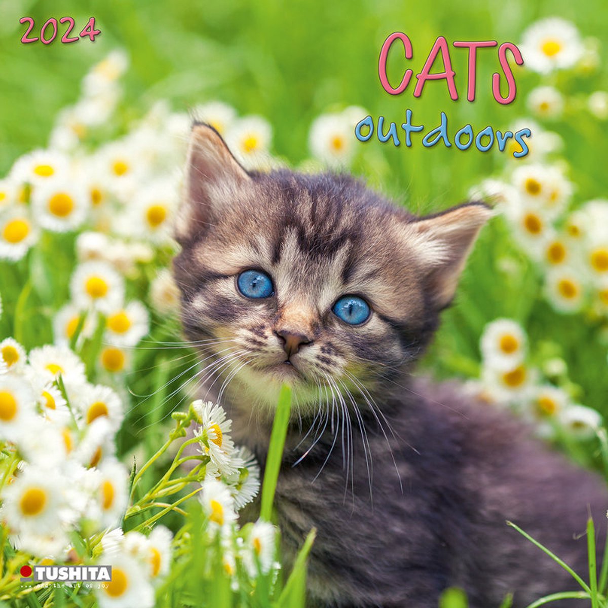 Cats Outdoors Kalender 2024