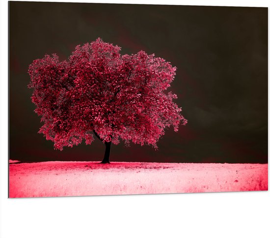 Dibond - Boom - Landschap - Roze - Bladeren - 100x75 cm Foto op Aluminium (Wanddecoratie van metaal)