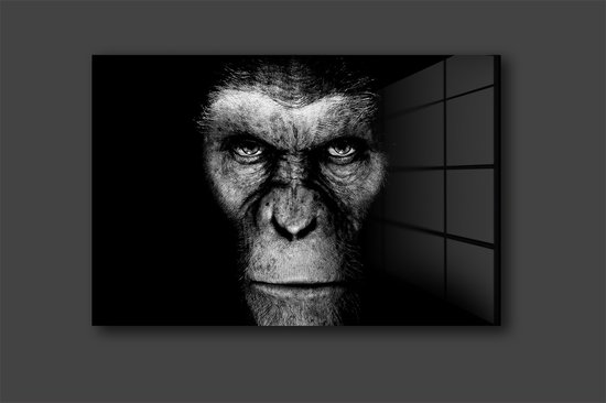 Monkey face schilderij op plexiglas 90x60cm