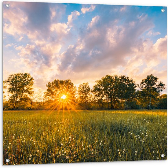 Tuinposter – Zonsondergang over Veld met Kleine Wilde Bloemen - 100x100 cm Foto op Tuinposter (wanddecoratie voor buiten en binnen)