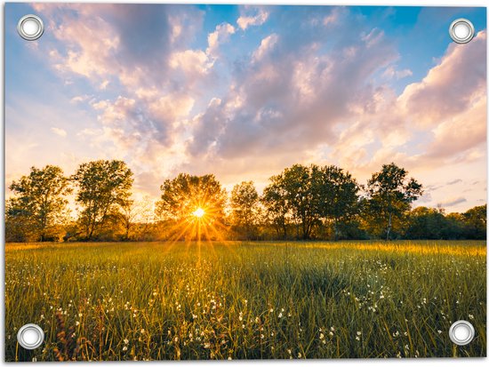 Tuinposter – Zonsondergang over Veld met Kleine Wilde Bloemen - 40x30 cm Foto op Tuinposter (wanddecoratie voor buiten en binnen)